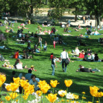 restricţionarea deplasărilor