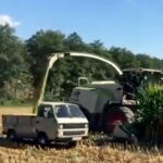 VW Transporter pick-up T3 floteauto.ro