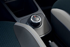 DACIA SPRING floteauto.ro