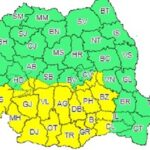 Cod galben de ninsori