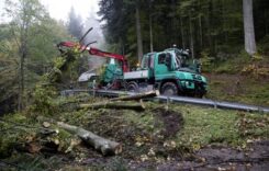 Romsilva va achiziționa o flotă de 25 de utilitare forestiere în leasing financiar