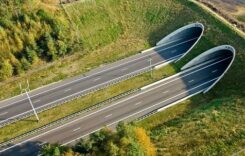 Licitaţia finalizată pentru segmentul de autostradă Margina – Holdea, care cuprinde ”tunelurile pentru urși”