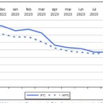 Rata anuală a inflaţiei