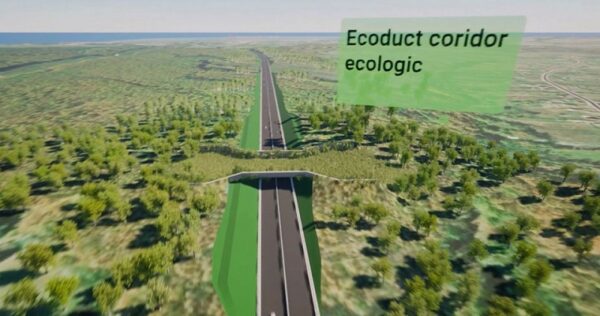 Craiova - Târgu Jiu