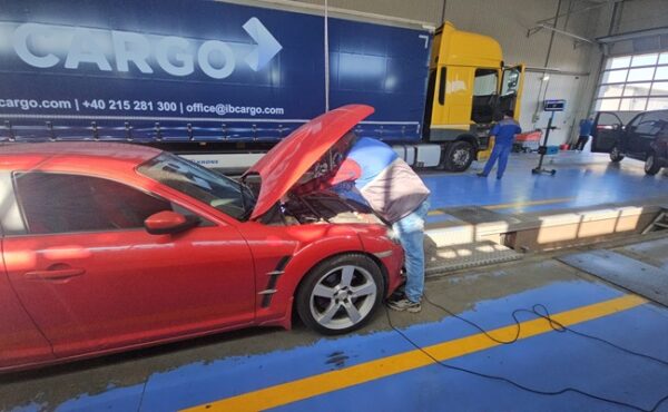 verificarea tehnică