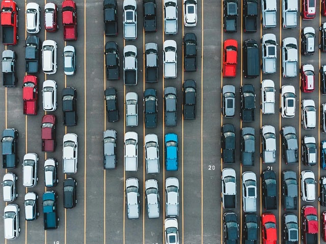 politica auto